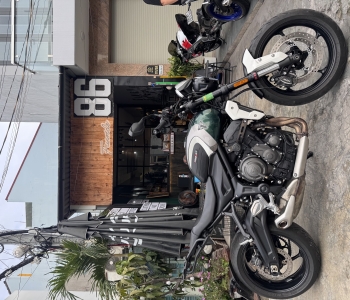 Triumph Trident 660 model 2023 custom green color
